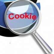cookies in hindi