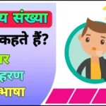 परिमेय संख्या किसे कहते हैं ? Rational Numbers in Hindi